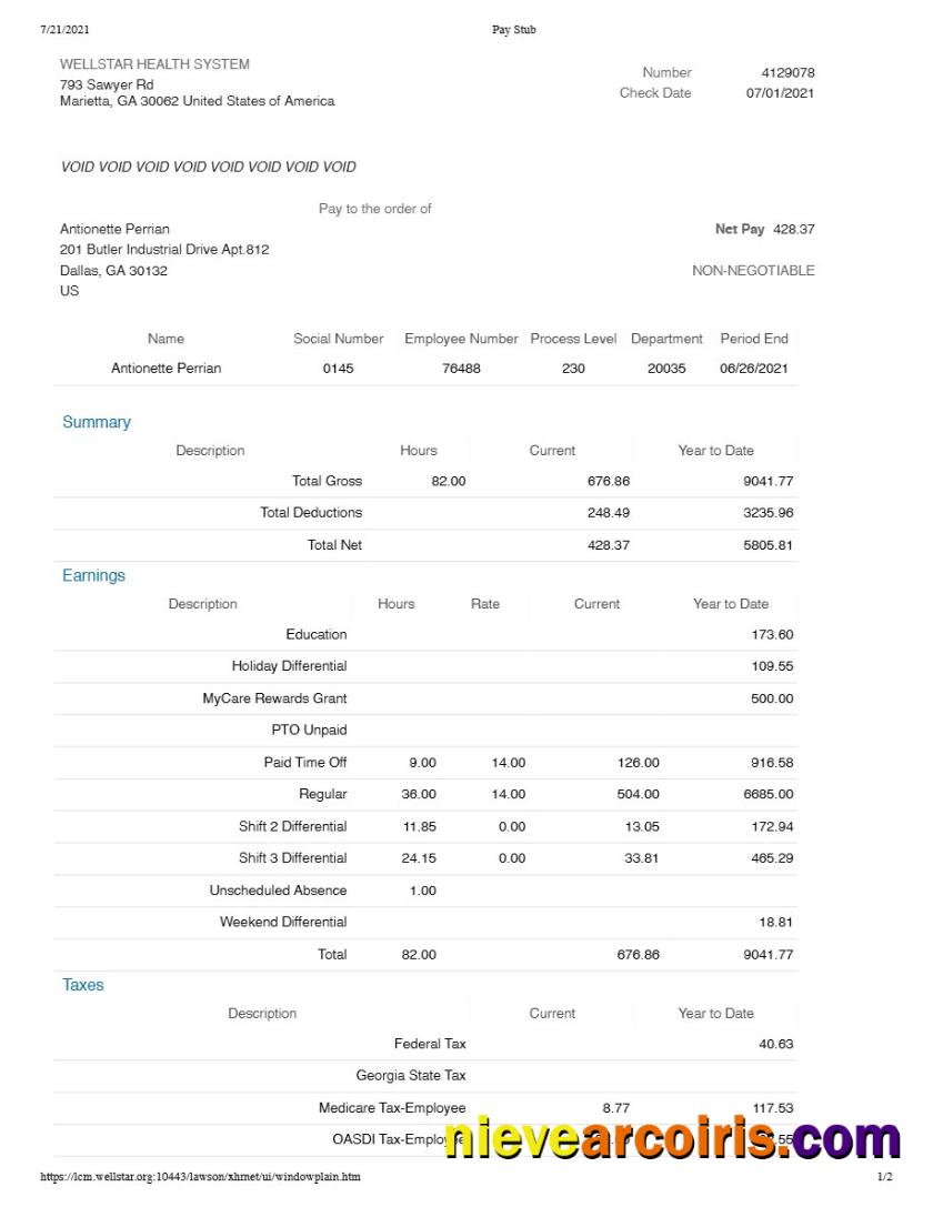 WELLSTAR HEALTH SYSTEM pay stub